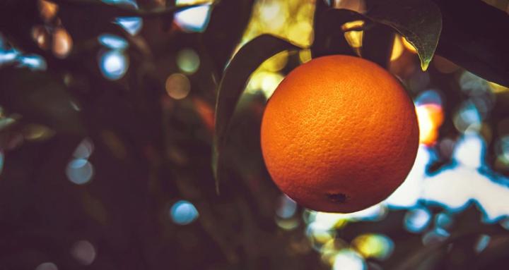 The Practice of Branding