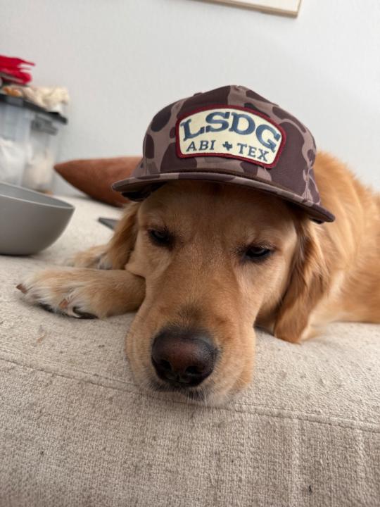 Rowdy Riggins