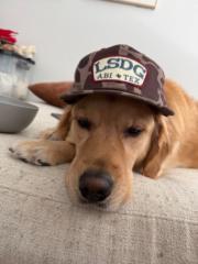 Rowdy Riggins