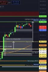 Gabriel Andres Araya Tapia