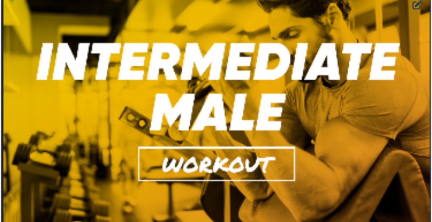 Intermediate Male Workout