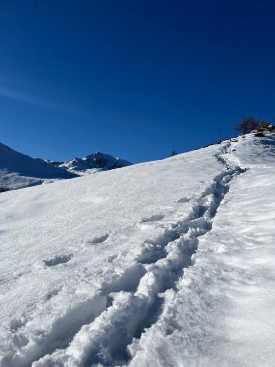 Passiatore Antonella