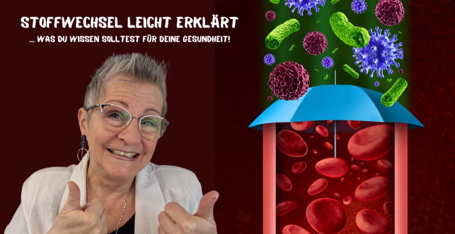 Stoffwechsel leicht erklärt