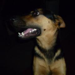 Ezequiel Marcelo