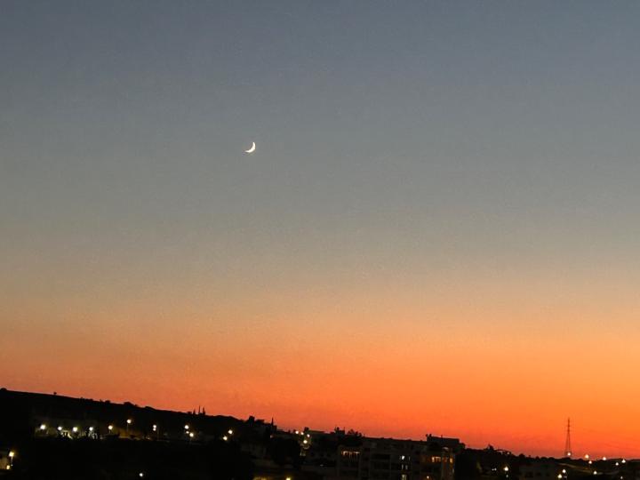 Leanne Bradshaw-Collett