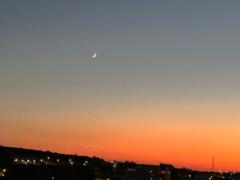 Leanne Bradshaw-Collett