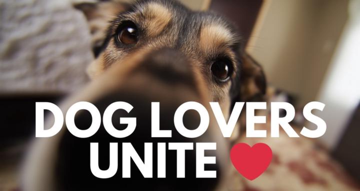 DOG LOVERS UNITE