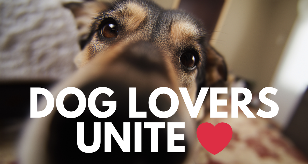 DOG LOVERS UNITE
