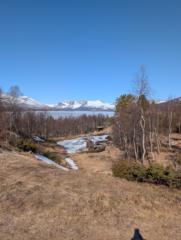 Audny Mjøen Illokken