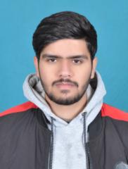 Adeel Raza