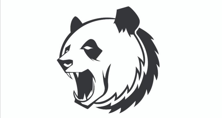 Risepanda Training System