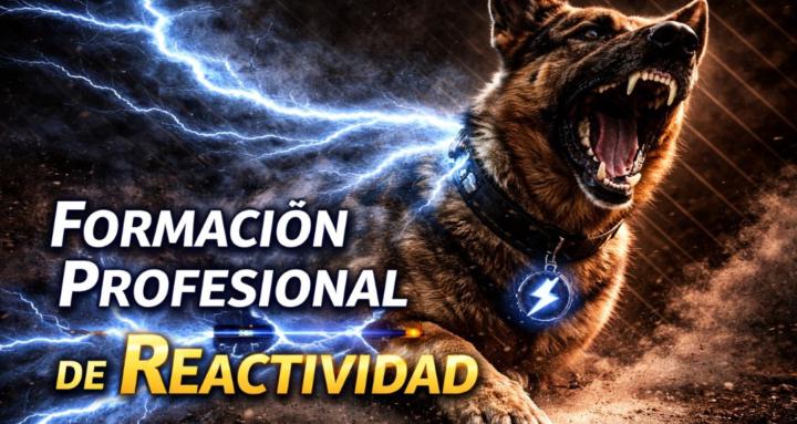 FORMACIÓN PROF. REACTIVIDAD