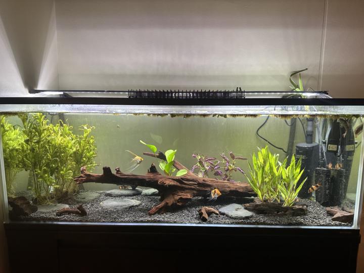 My 1200L Setup
