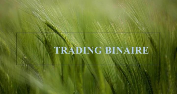 SANEFOD TRADING ACADEMY