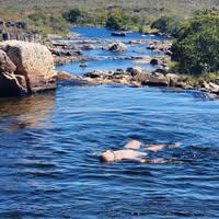 Hélio Mendes da Silva