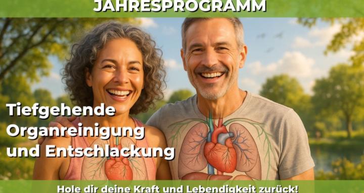 Jahresprogramm Organreinigung
