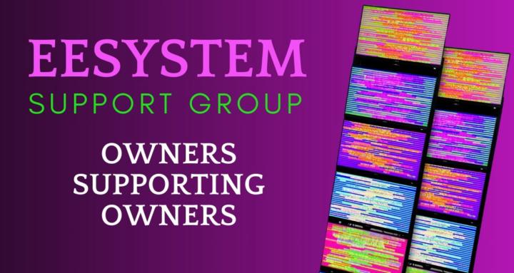 EESupport