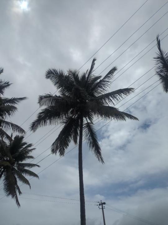 Kushal Kumar