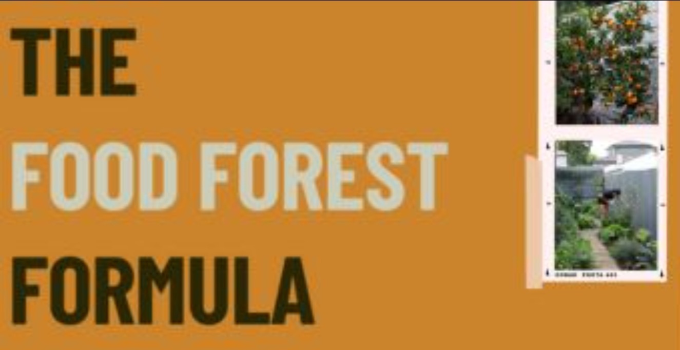 THE FOOD FOREST FORMULA