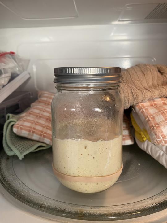 Sourdough?