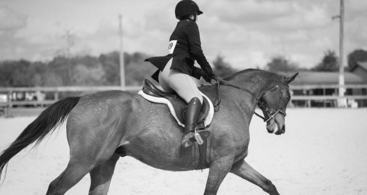 Cobb Creek Riding Academy