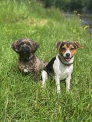 Margrethe Mørk Nilsen