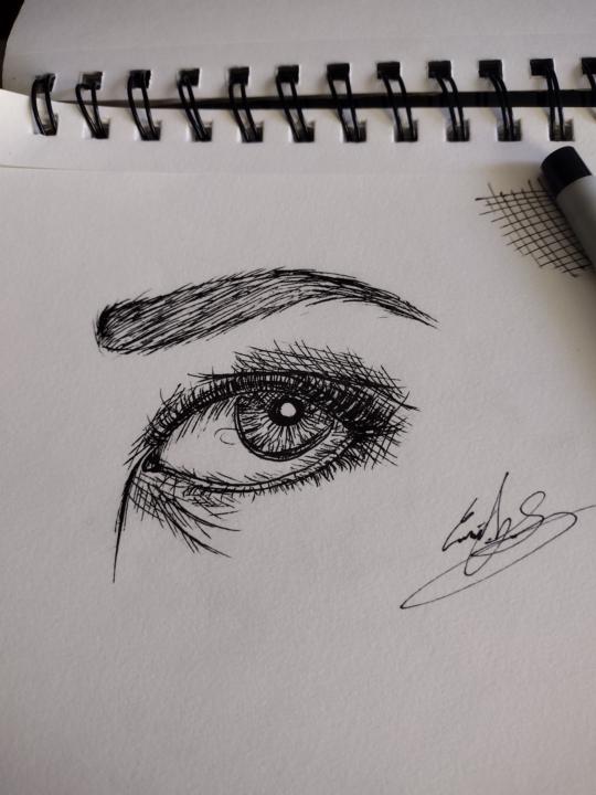 Sketch of the day