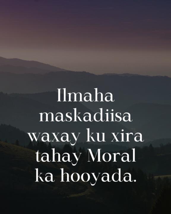 Ilhaan Ahmed
