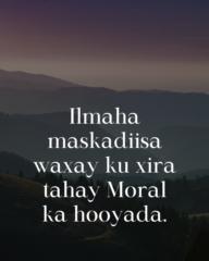 Ilhaan Ahmed