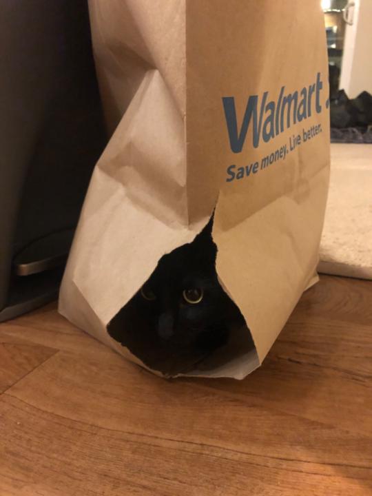 Sebastian Ruterbories