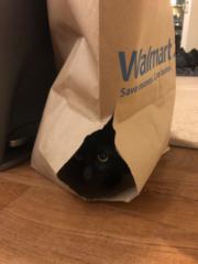 Sebastian Ruterbories