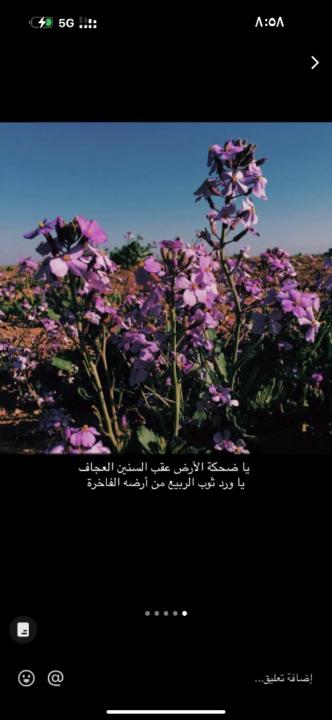 Abdulaziz Al-Qarni