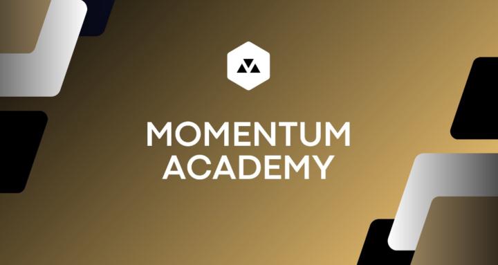 Momentum Academy