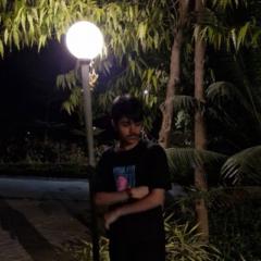 Vaibhav Pratap singh