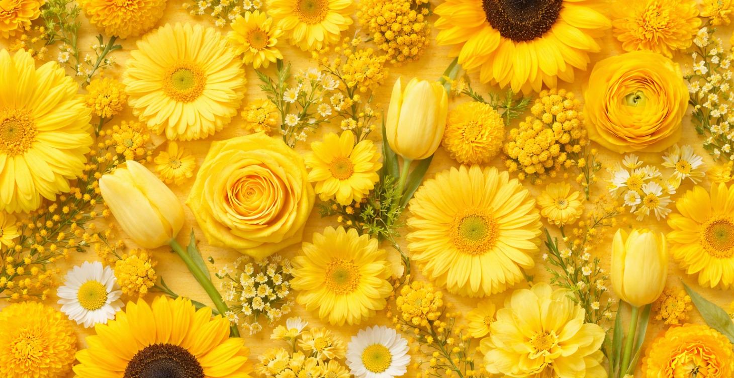 Custom Bloom Plan: Erma