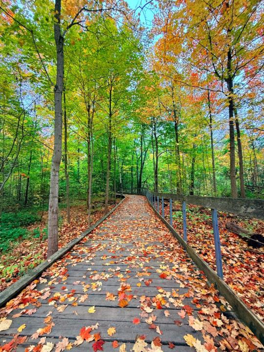 Lekshmi Unnikrishnan