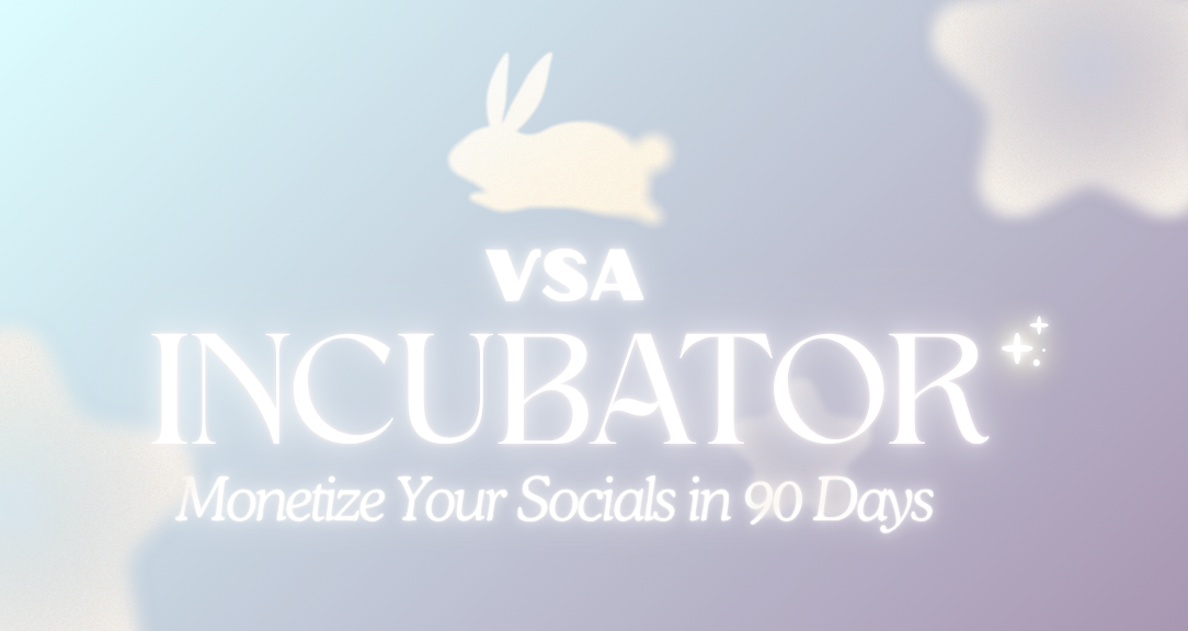 VSA Incubator
