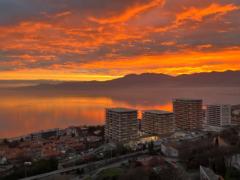 Maria Cristina Cerón