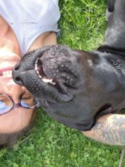 Bree Scheidler