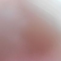 Brandon Vanderwalker