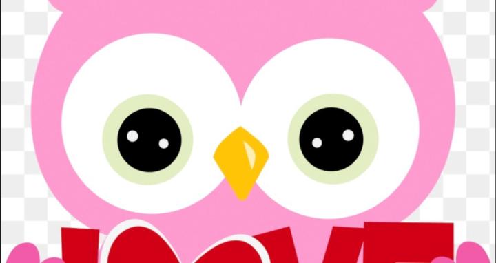 The OWL's