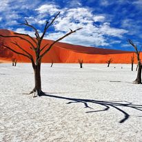 Would you walk through a desert like this? 