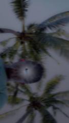 Abdul Ziyad