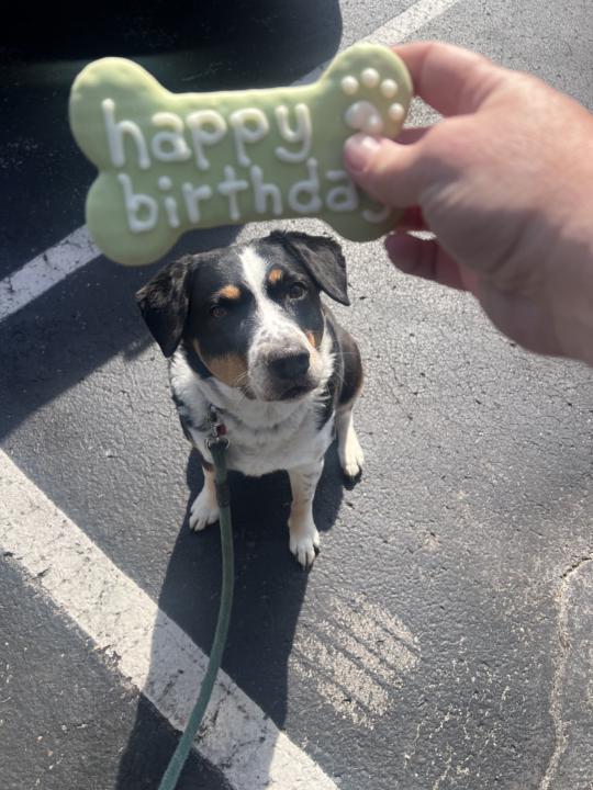 Birthday cookie. 