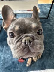 Lucas and Hadley Pergament and Yost