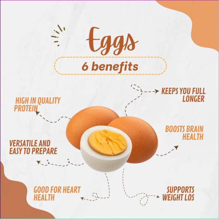 🥚 YOUR RESET BEST FRIEND — THE EGG 🥚