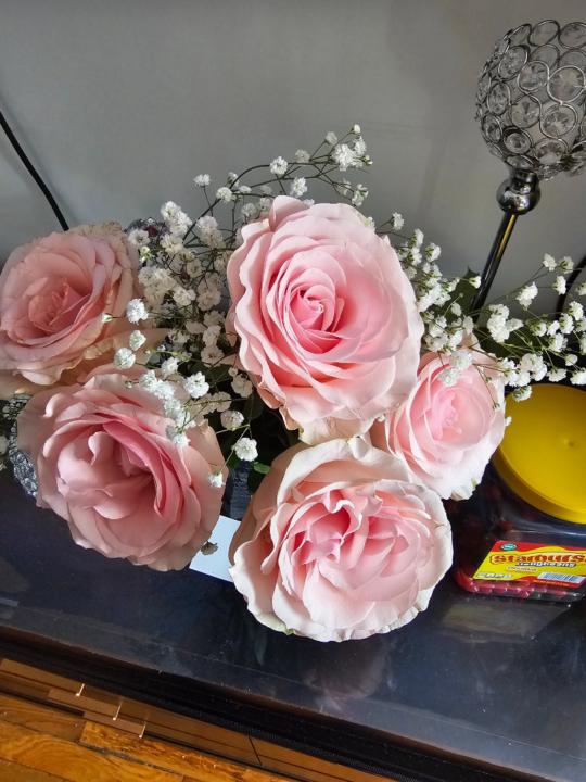 Mina Rosa