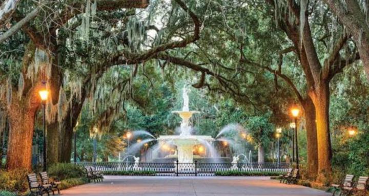 Creators of Savannah