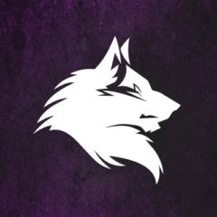 Fit Pro Alpha