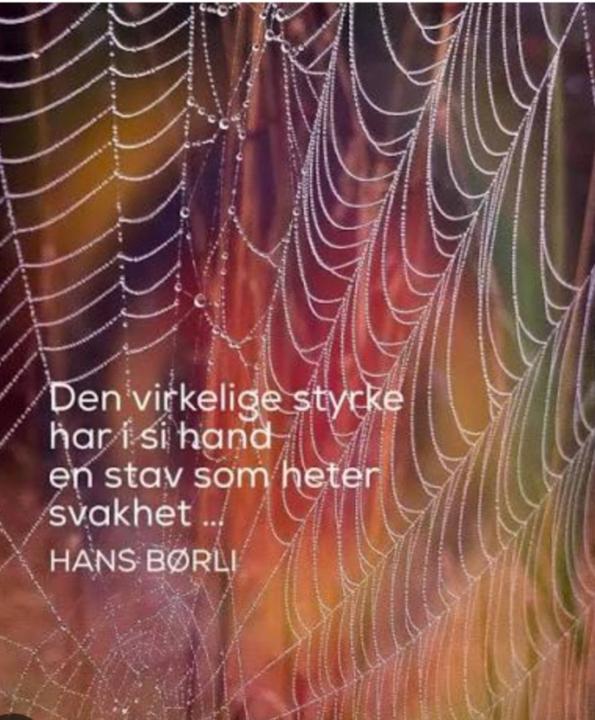 Gjertrud Johansen